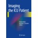 Falter, Imaging the ICU Patient