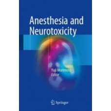 Morimoto, Anesthesia and Neurotoxicity